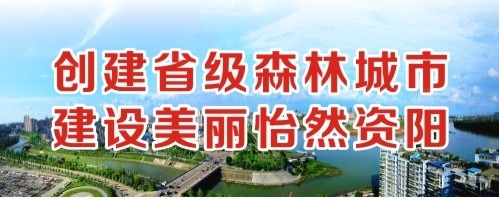 肥婆的大屄创建省级森林城市 建设美丽怡然资阳